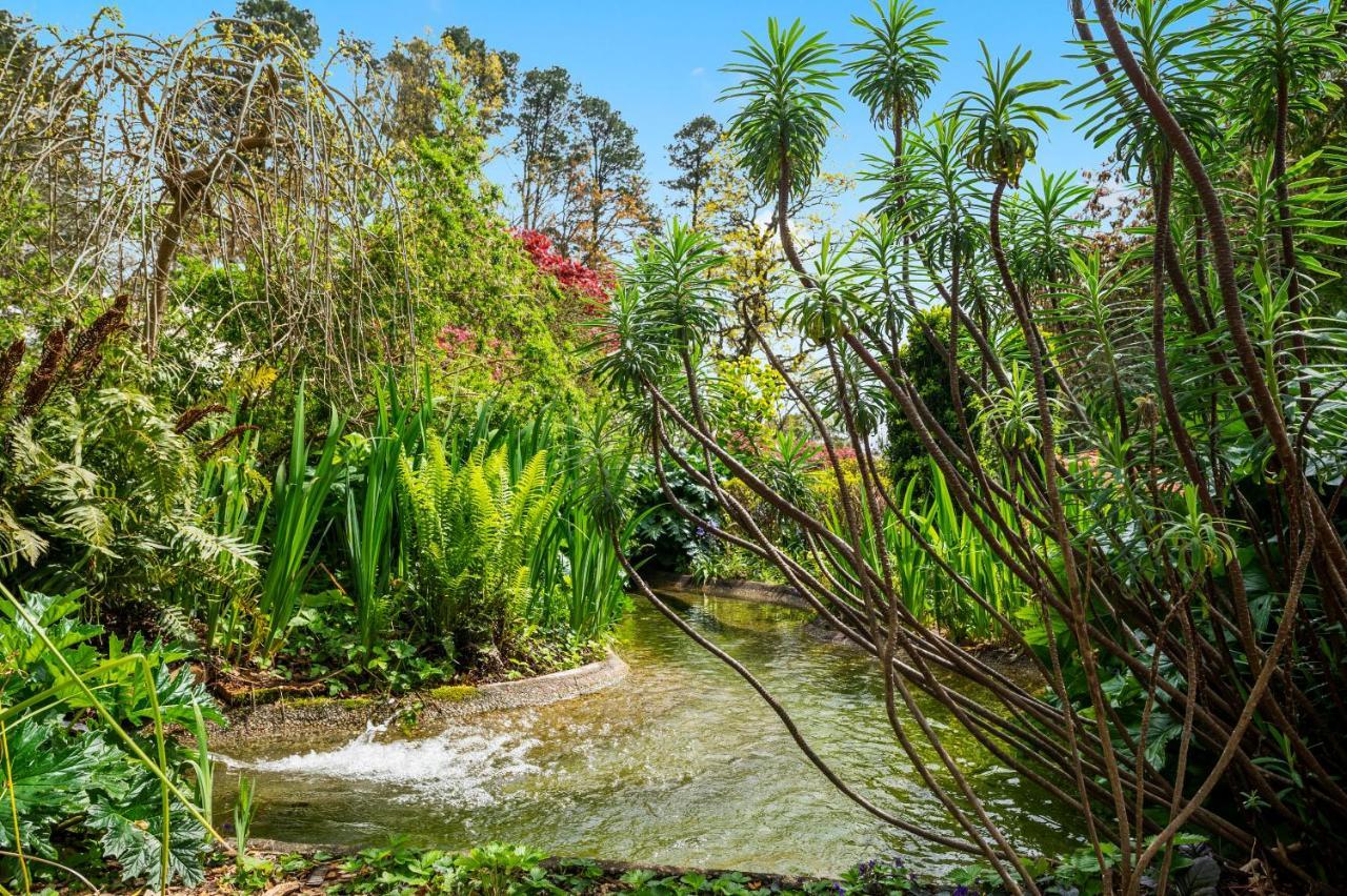 Parklands Country Gardens & Lodges Blue Mountains Blackheath Dış mekan fotoğraf
