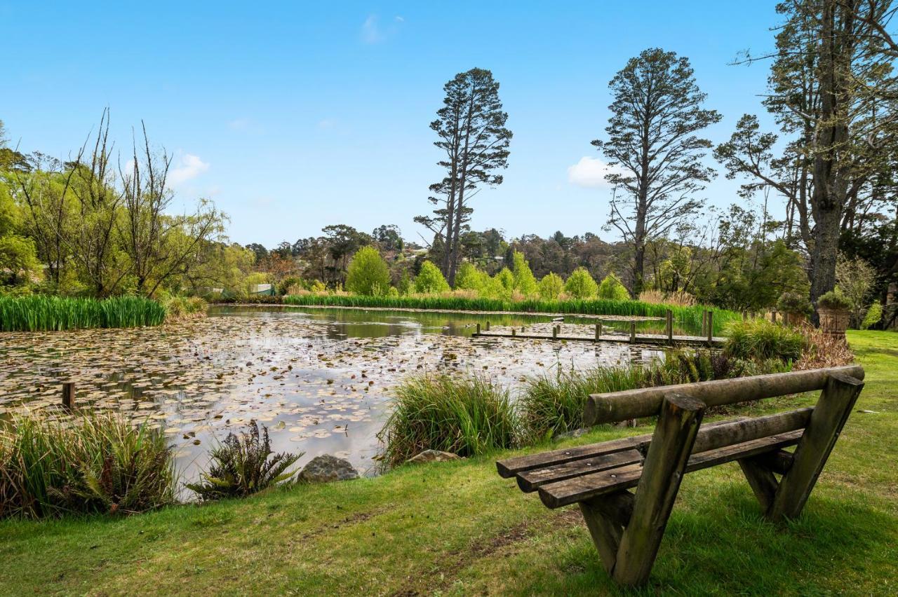 Parklands Country Gardens & Lodges Blue Mountains Blackheath Dış mekan fotoğraf